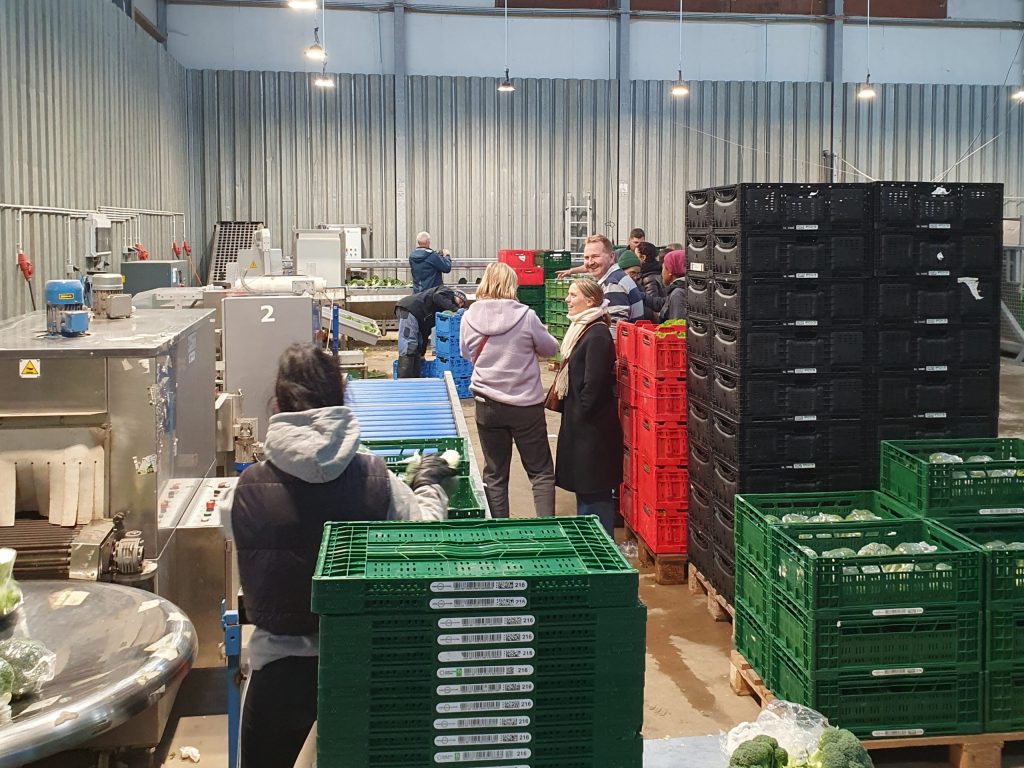 Image of the Willi Andree Gemüsebau packing facility