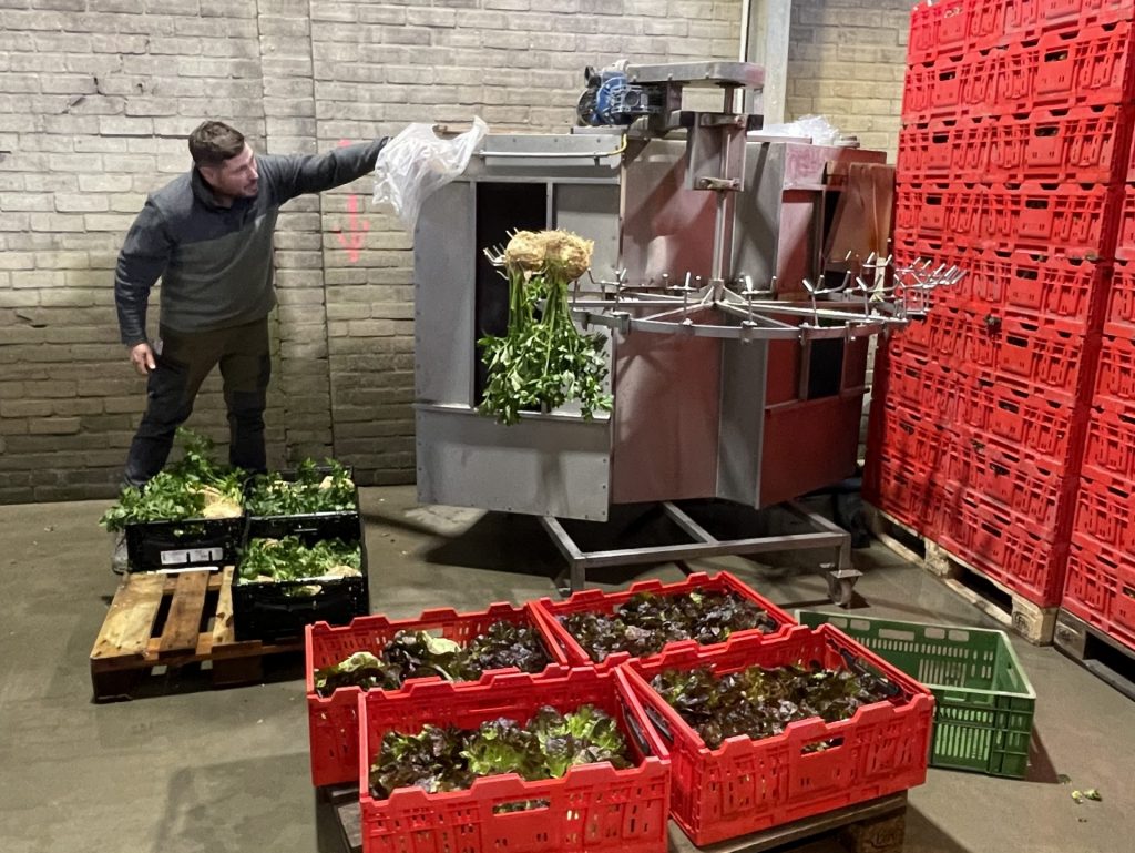 Image of farm equipment for the cleaning of celeriac
