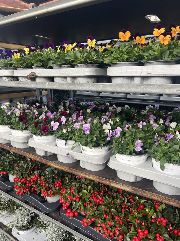 Image of ornamental products prepared for distribution