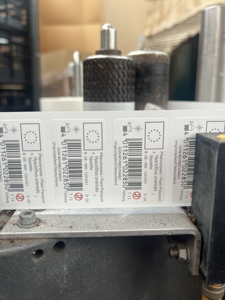 Image of labels for flowers bulbs from certified production processes