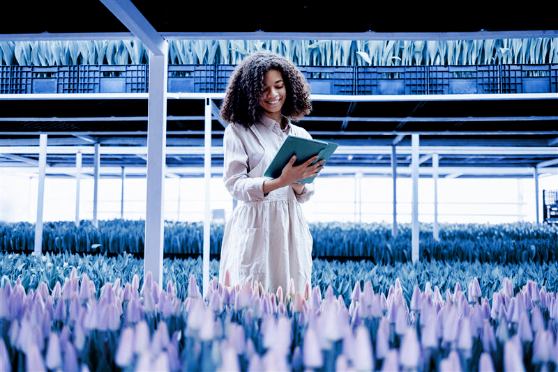 Image of an auditor assessing floriculture production
