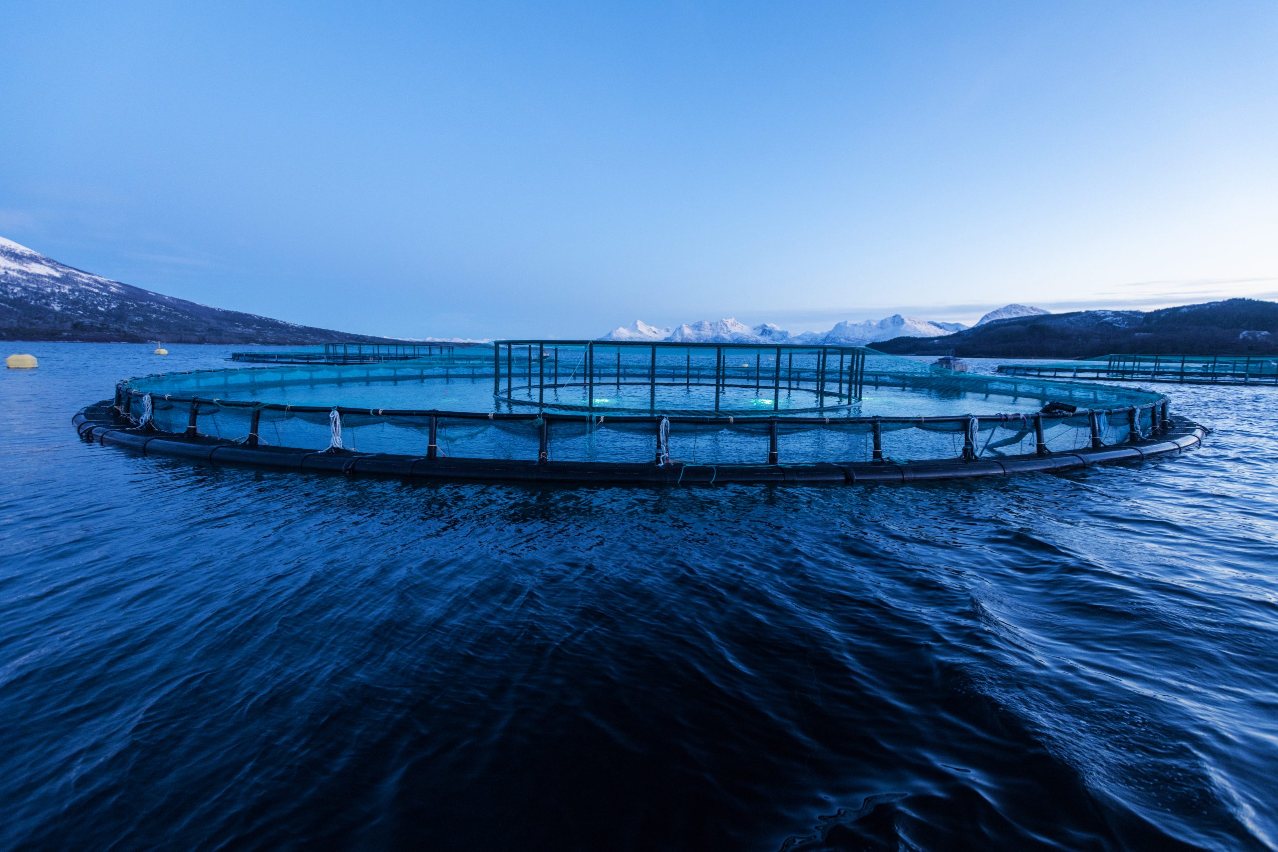 A large circular fish farming cage floats on calm water with mountains visible in the background.