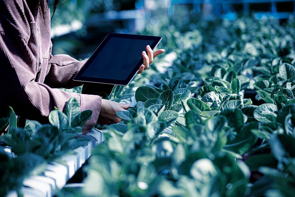 Image of plant health monitoring in a covered production environment