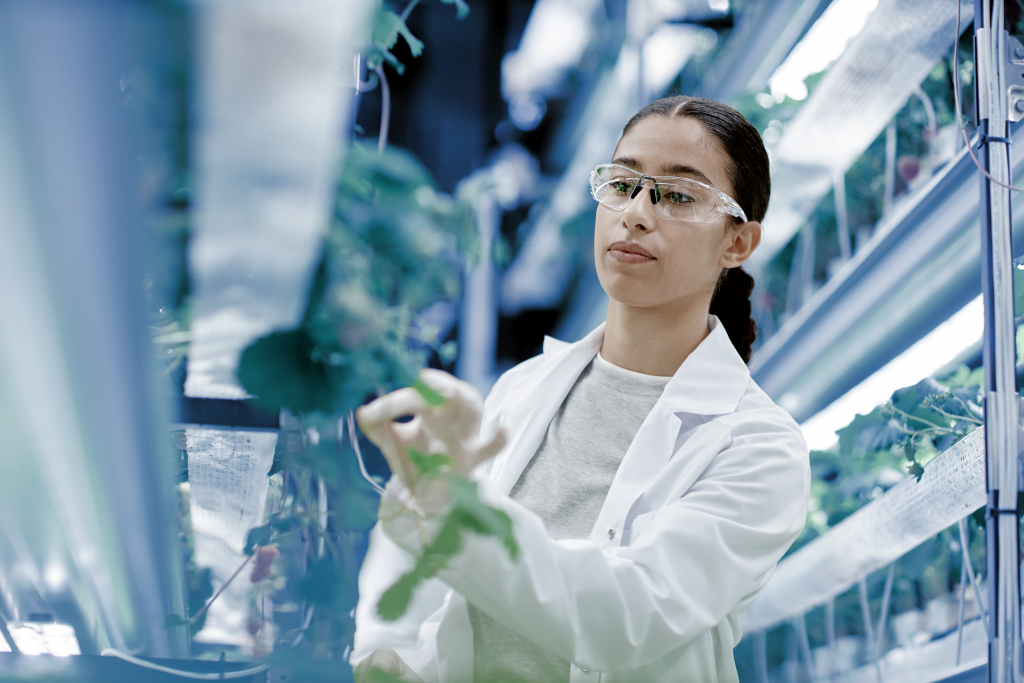 Image of a worker inspecting plant health in a hydroponic production environment