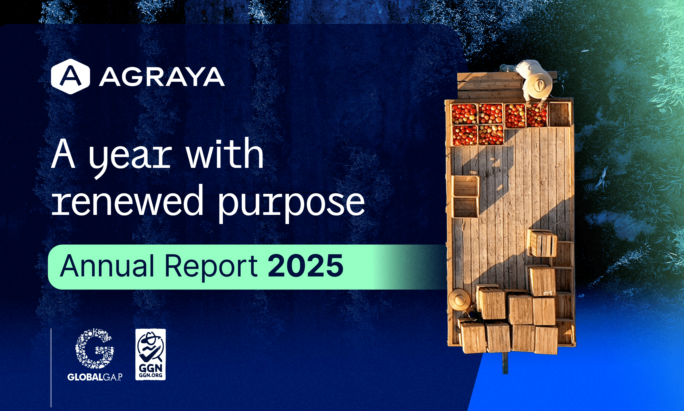 Graphic banner for the publication of the 2025 Agraya Annual Report