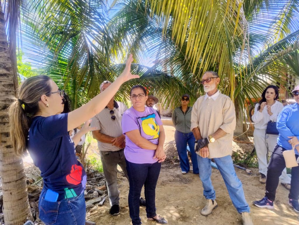 Photo of participants learning from the expert during a field visit