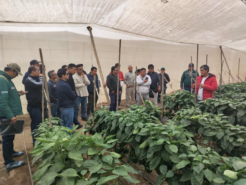 Field visit training session in Peru