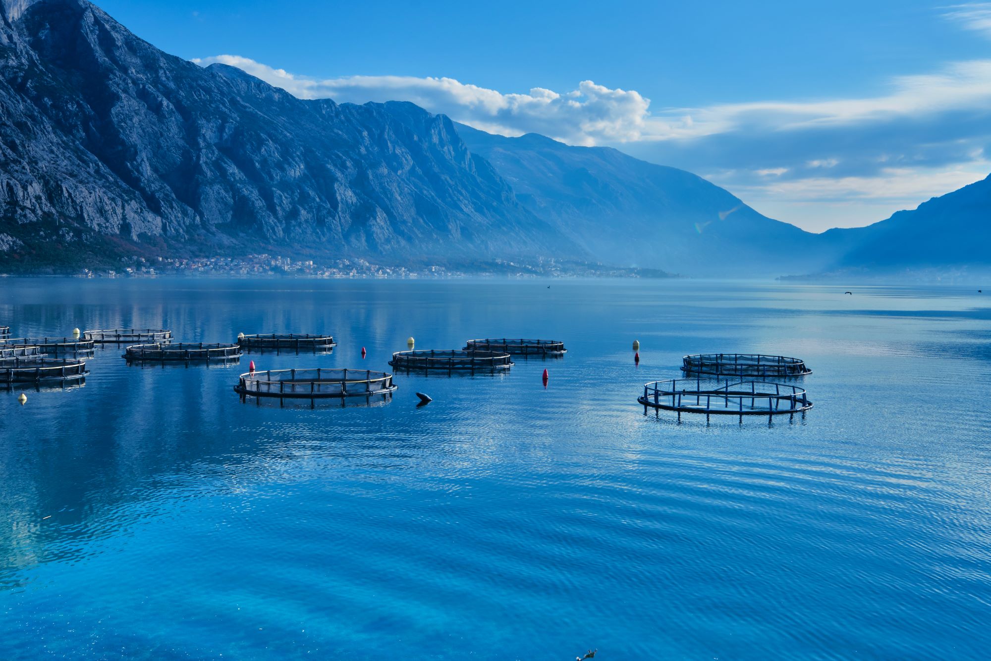 Fish farming cages floating on a lake