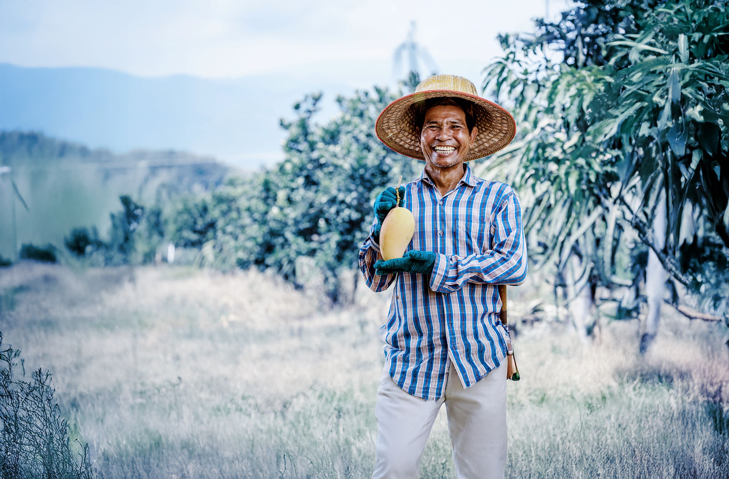 A farmer holding frsh fruit in an orchard field