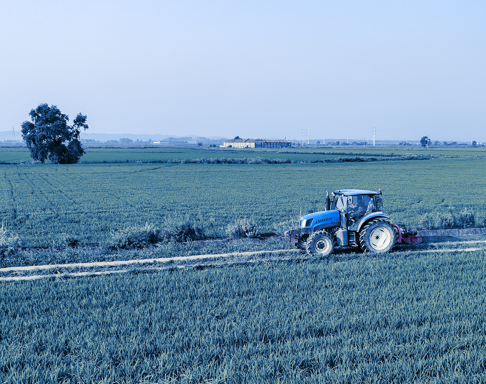 Tractor working in an agricultural field.