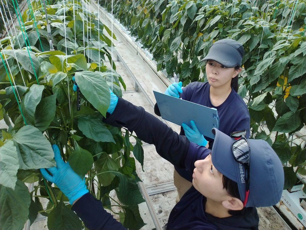 Workers checking on plants