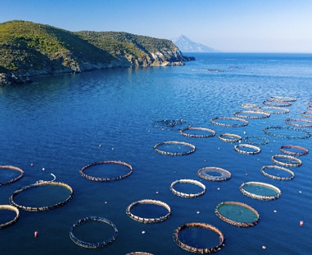 Aquaculture