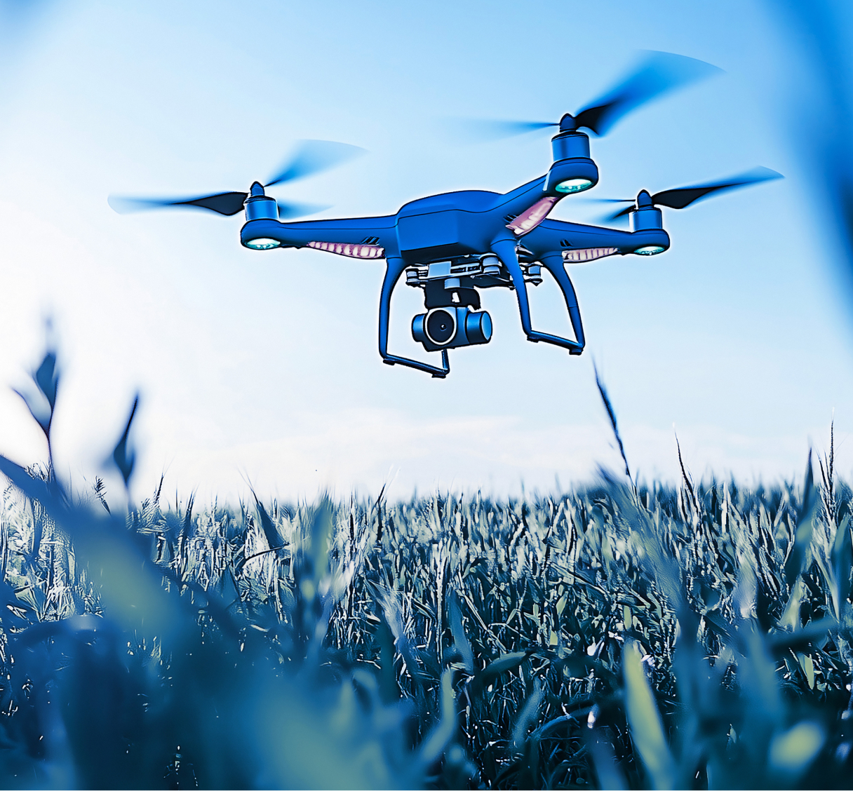 Drone flying over a field