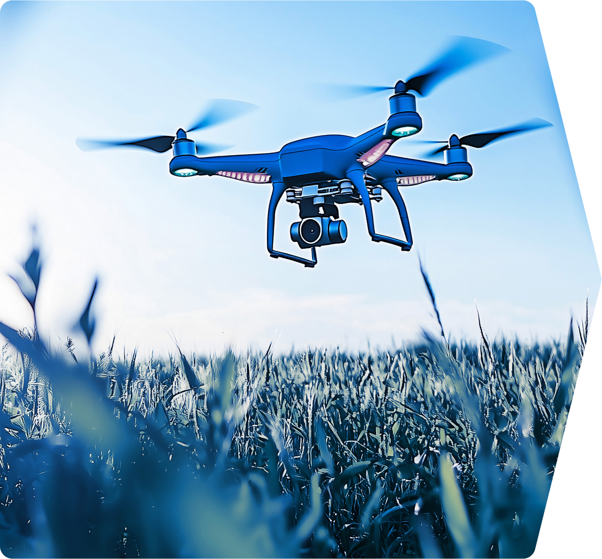 Drone flying over a field