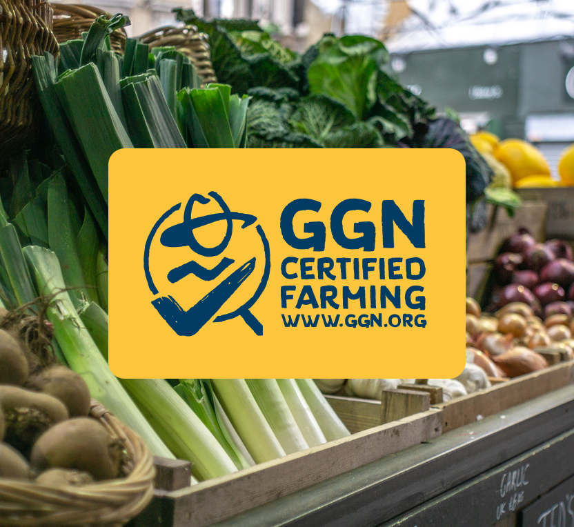 GGN Logo in front of fresh vegetables