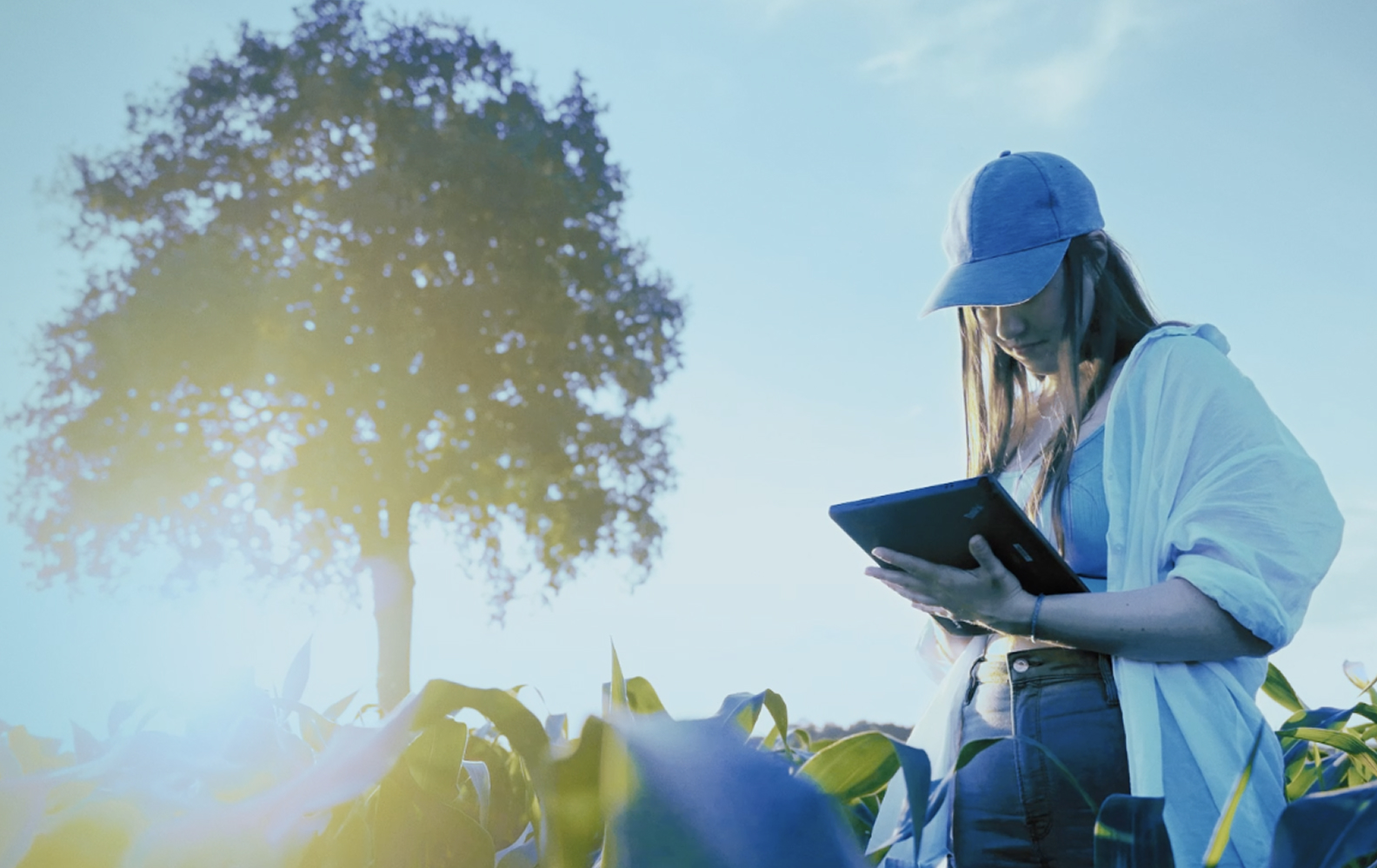 Woman with tablet an a field